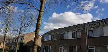 Voor woningstichting Groninger Huis woningen in de dakcoating gezet