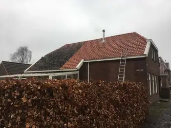 Dakreiniging woning Nieuw-Buinen