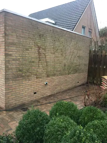 Gevelreiniging woning Hooghalen